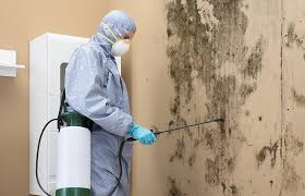 Professional Mold Inspection in Fairmont City, IL